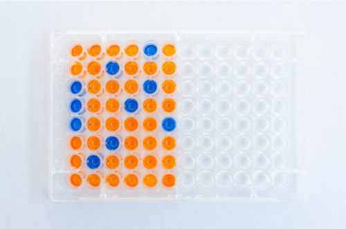Laboratory plant virus testing with ELISA plates