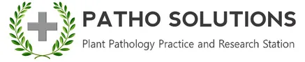 Patho Solutions