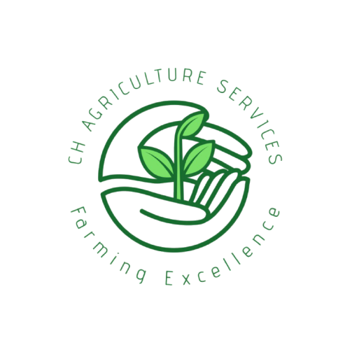 Curt Abrahams logo