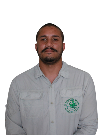 Curt Abrahams, Field Manager